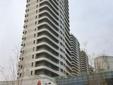 兴龙香玺海