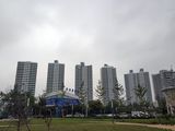 兴龙香玺海