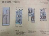 外冈壹号_4室2厅3卫 建面263平米