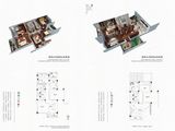 北园府_5室5厅4卫 建面556平米