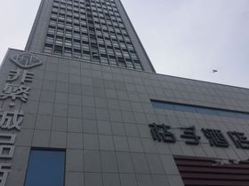 鸿泰π公寓