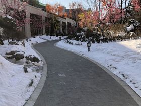 信达万科翡翠学院