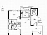 碧桂园中房天玺_3室2厅2卫 建面131平米
