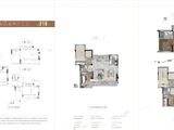 奥园大发宸央_4室2厅3卫 建面210平米