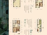 安国数字中药都_400平米南入中间户型24#25# 建面400平米