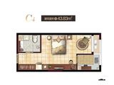 康桥溪公馆_1室1厅1卫 建面43平米