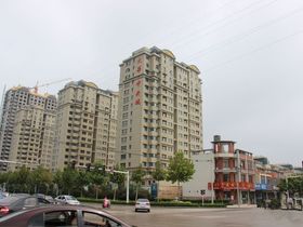 大华中央城