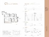 红星九颂时代城_4室2厅2卫 建面142平米