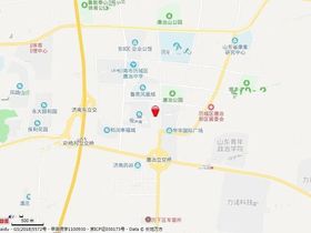 鲁商凤凰广场