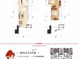 骋望天玺二期_2室2厅1卫 建面50平米