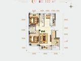 山河学府春天_3室2厅2卫 建面113平米
