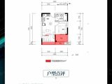 力标景云山水_1室1厅1卫 建面46平米