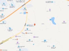 嵊自然资规条〔2022〕第45号