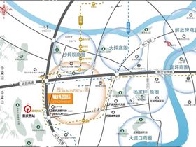 雏扬国际