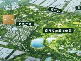 森与天成